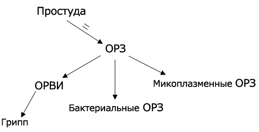 схема простуд, ОРЗ, ОРВИ и гриппа