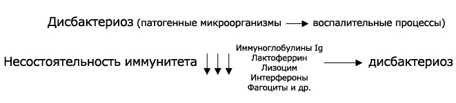 схема возникновения дисбактериоза слизистых оболочек