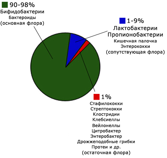 соотношение микрофлоры в кишечнике