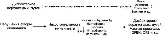 схема возникновения дисбактериоза слизыстых оболочек дыхательных путей