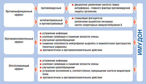 имудон действие