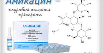 Амикацин - подробное описание препарата