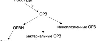 схема простуд, ОРЗ, ОРВИ и гриппа