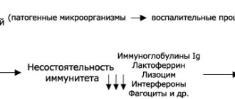 схема возникновения дисбактериоза слизыстых оболочек дыхательных путей