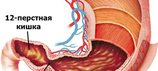 желудок и 12-перстная кишка