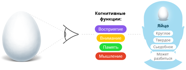 Тренировка когнитивных функций 