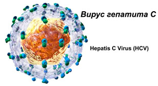 вирус гепатита С