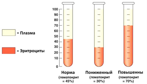 норма гематокрита, повышенный уровень и пониженный