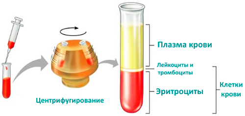 схема исследования крови в лаборатории 