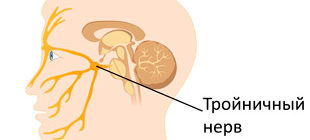 тройничный нерв на лице