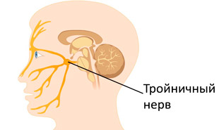 тройничный нерв на лице