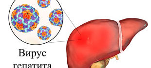вирус гепатита в печени