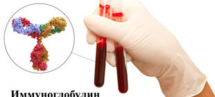 Иммуноглобулин в анализе крови