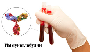 Иммуноглобулин в анализе крови